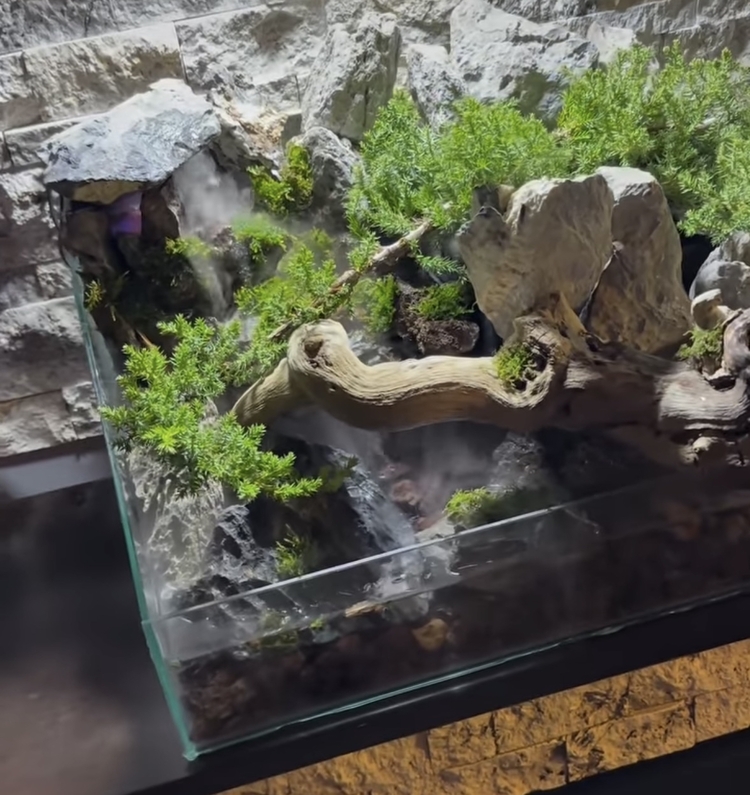 Ardıç temalı şelale paludarium