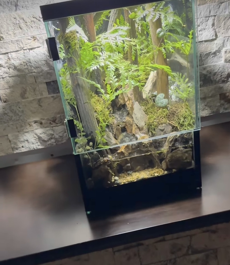 Orman temalı,şelale paludarium