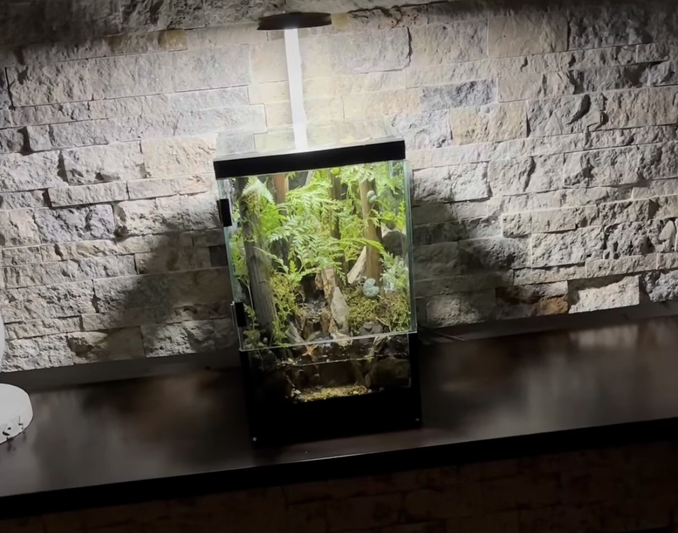 Orman temalı,şelale paludarium