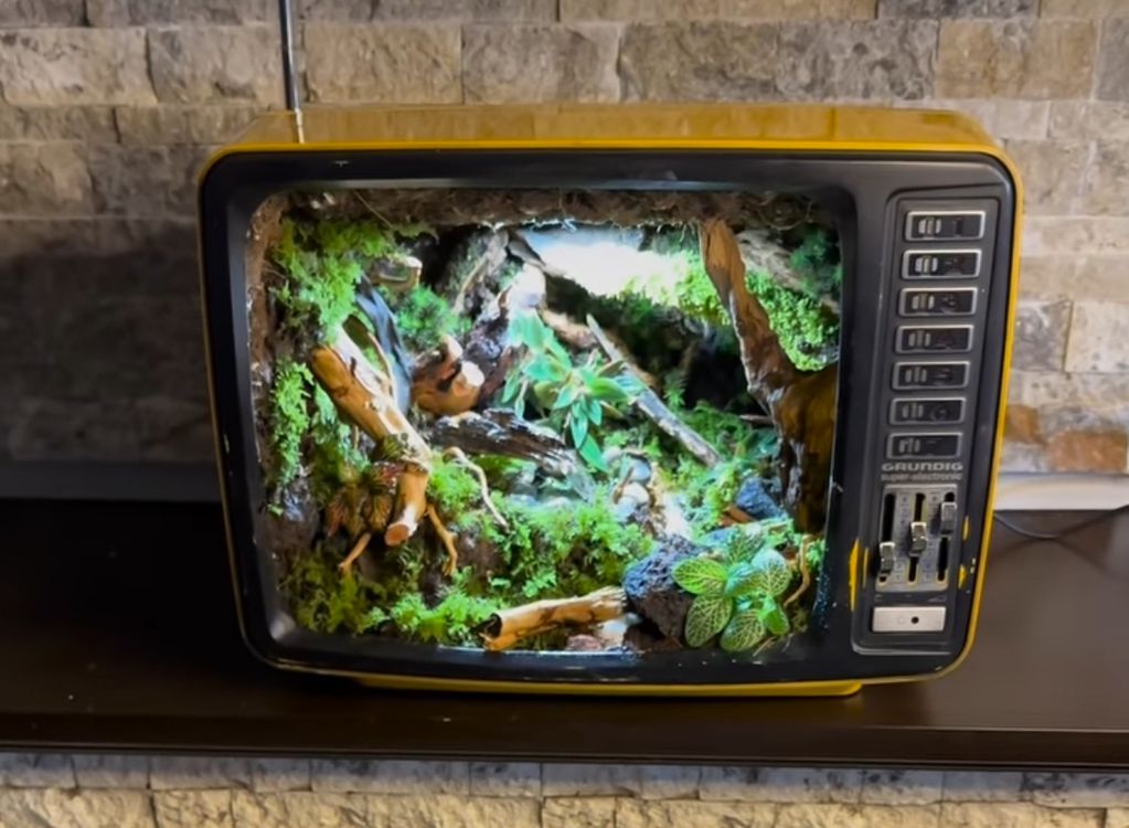 Retro Tv. 1975 model antika televizyon içerisine yapılmış teraryum.