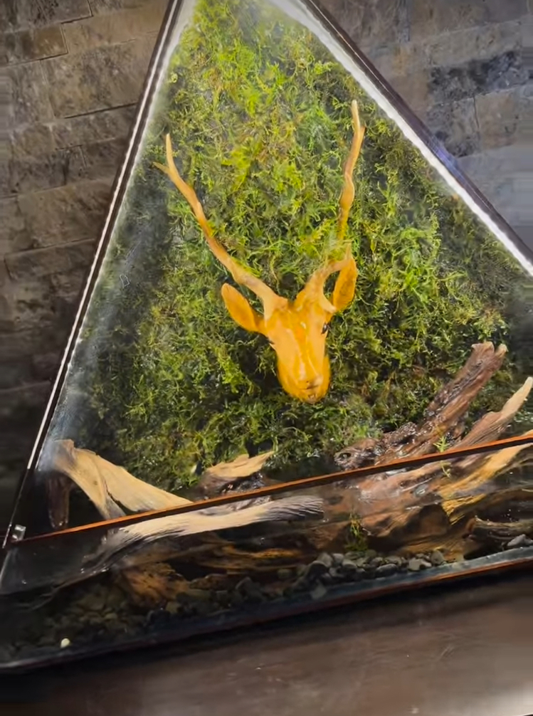 Deer Table