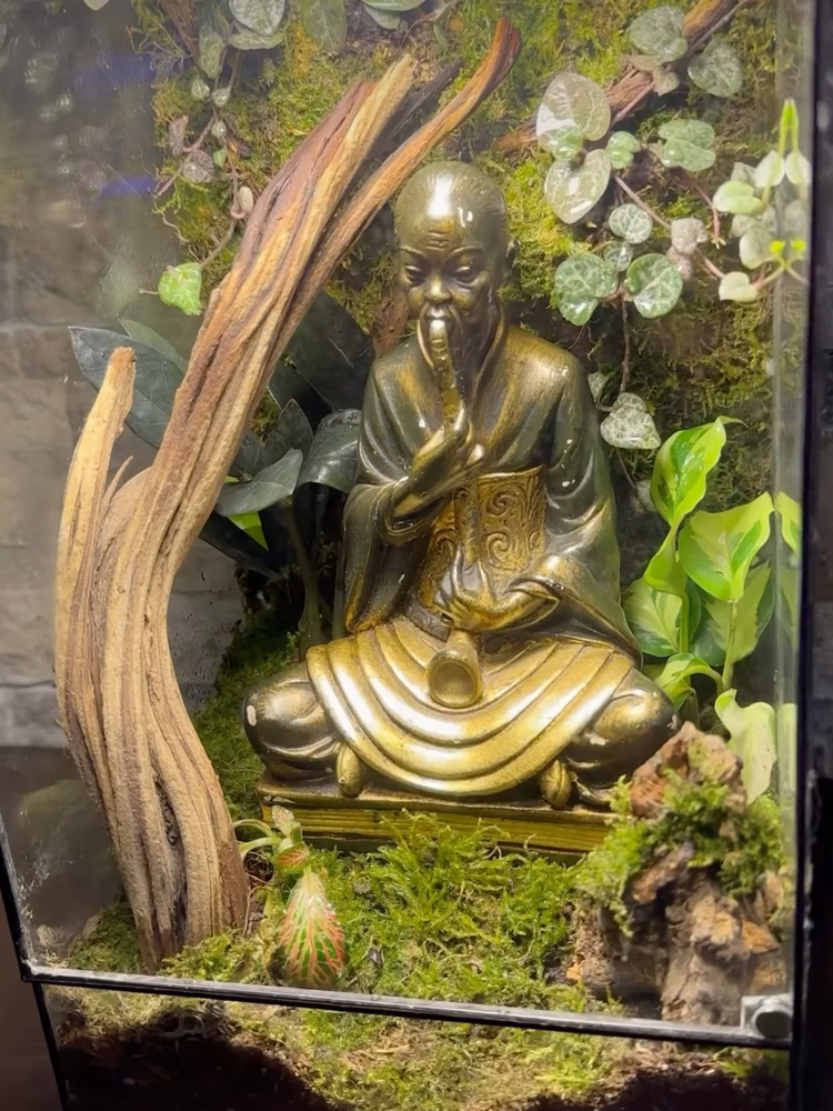 Buddha temalı teraryum
