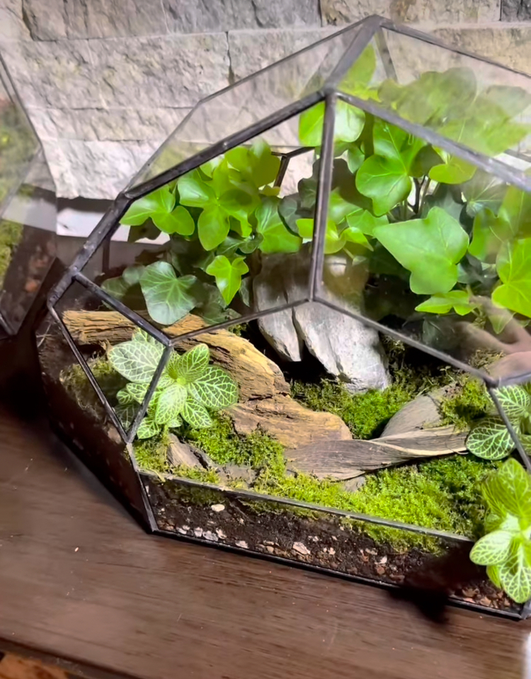 Geometrik teraryum yeşilin tonları