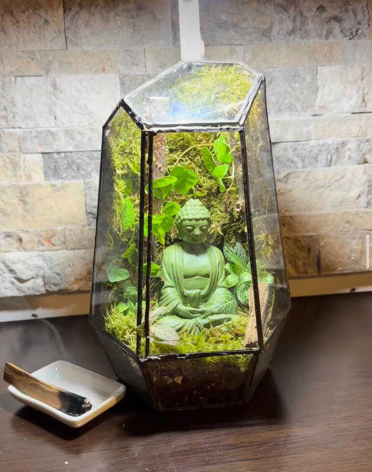 Geometrik buddha 3 teraryum