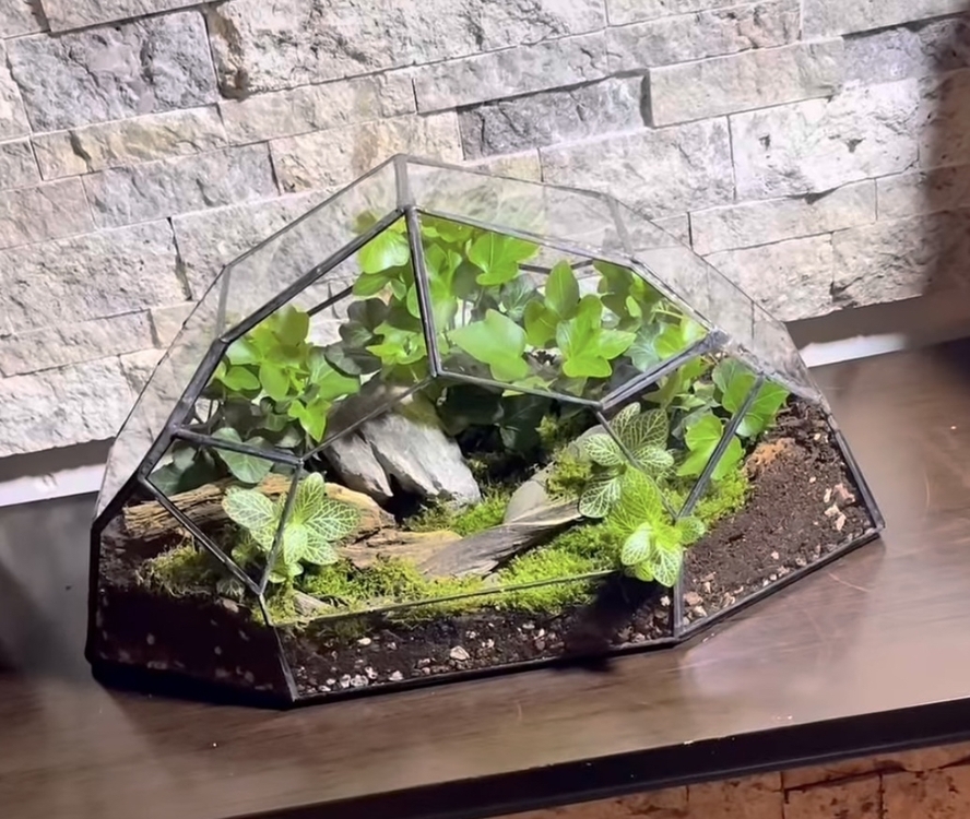 Geometrik teraryum yeşilin tonları