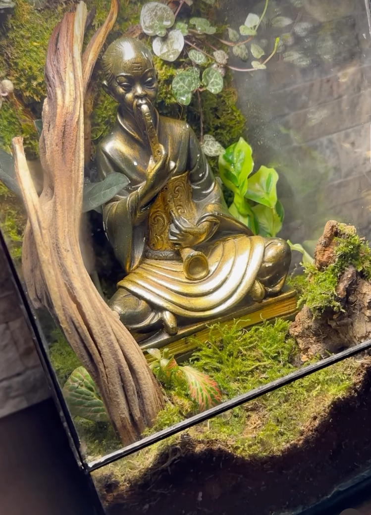 Buddha temalı teraryum