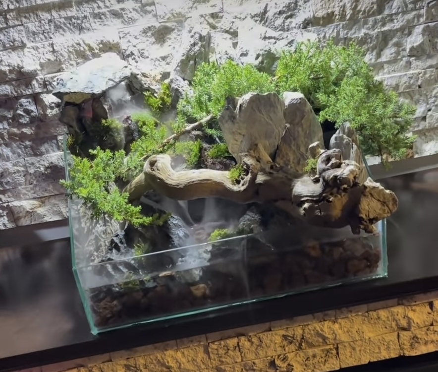 Ardıç temalı şelale paludarium