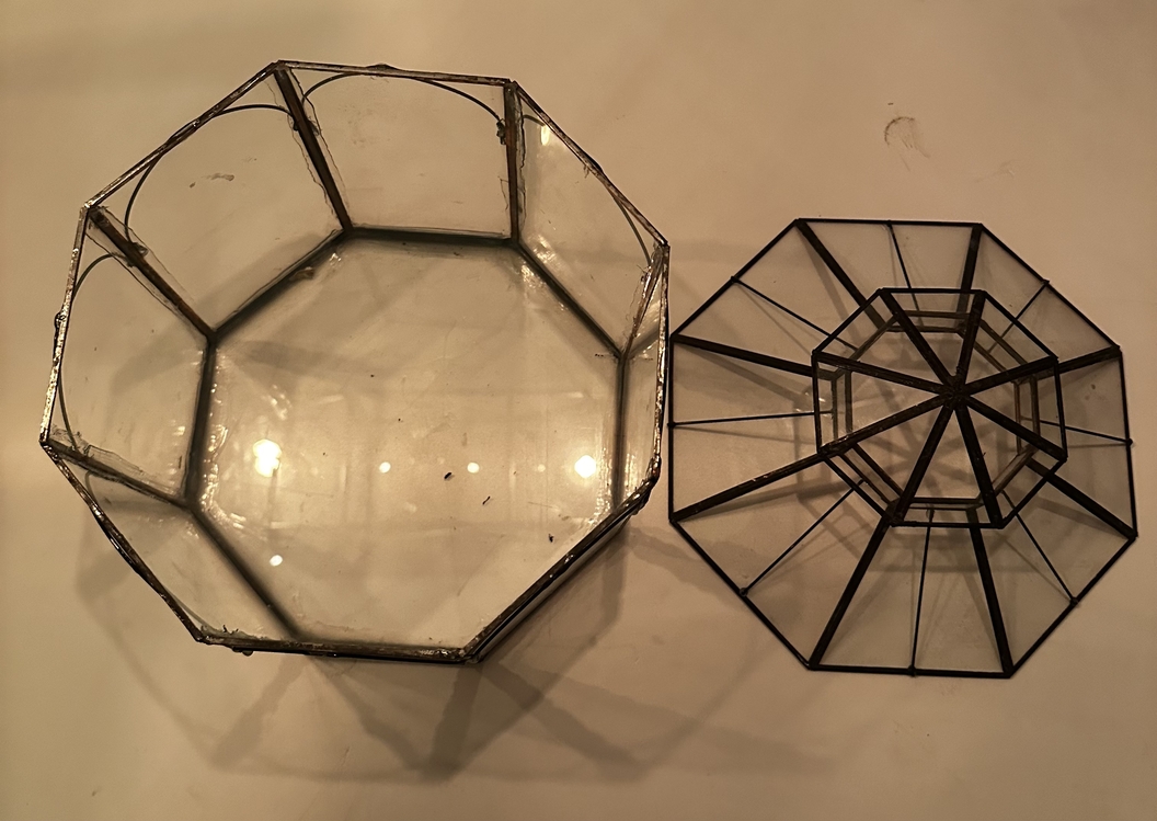 Geometrik teraryum 2