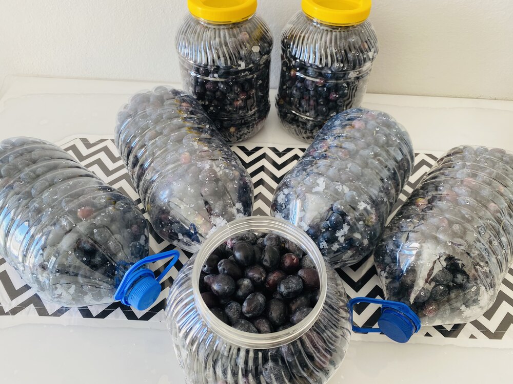 Kendin tatlandır siyah zeytin 5lik bidon