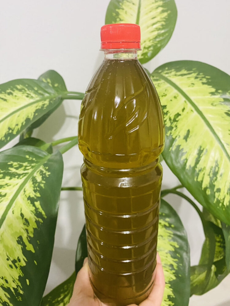 Erken hasat soğuk sıkım zeytinyağı 1 litre