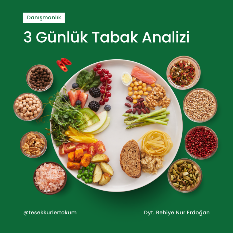 3 Günlük Tabak Analizi