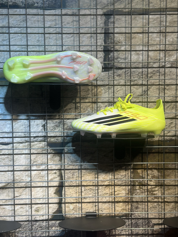F50 2026 TamProf