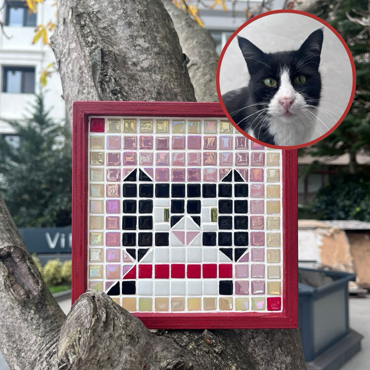 Kişiselleştirilebilir Kit 
