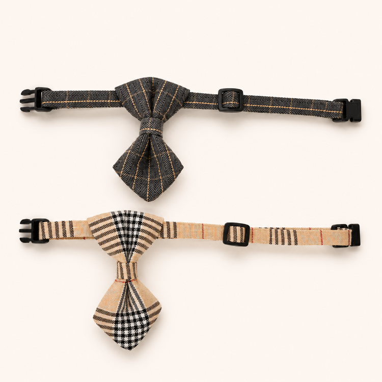 British Gentleman Tie Collar