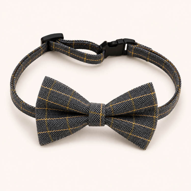 Gentleman Bow Tie Collar