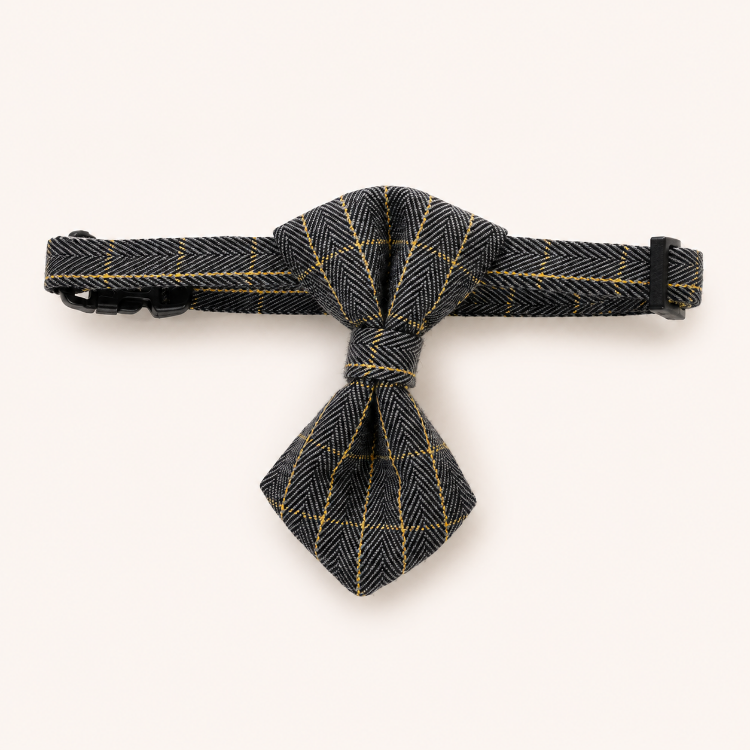 Luxury Gentleman Tie Pet Collar