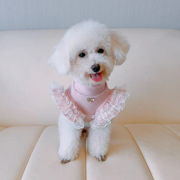 Pembe Dantel Detaylı Köpek Bluzu
