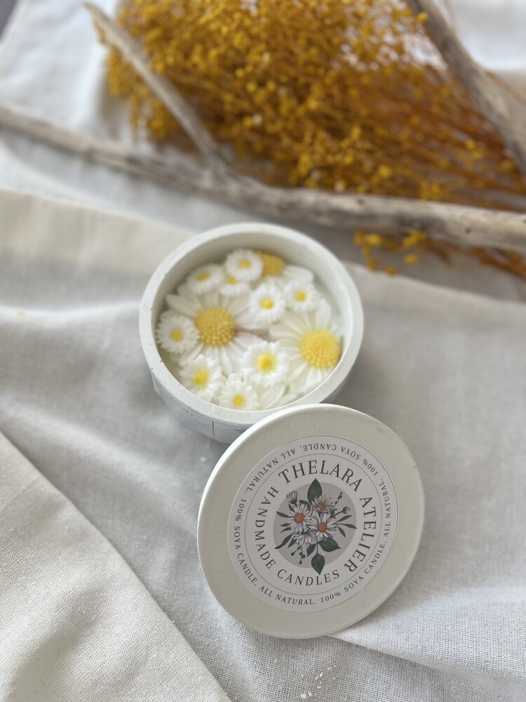 Daisy büyük kapaklı