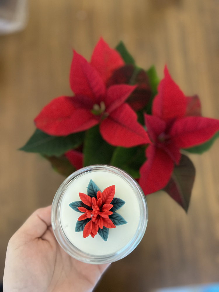 Poinsettia saksı çiçek ve Poinsetia mum