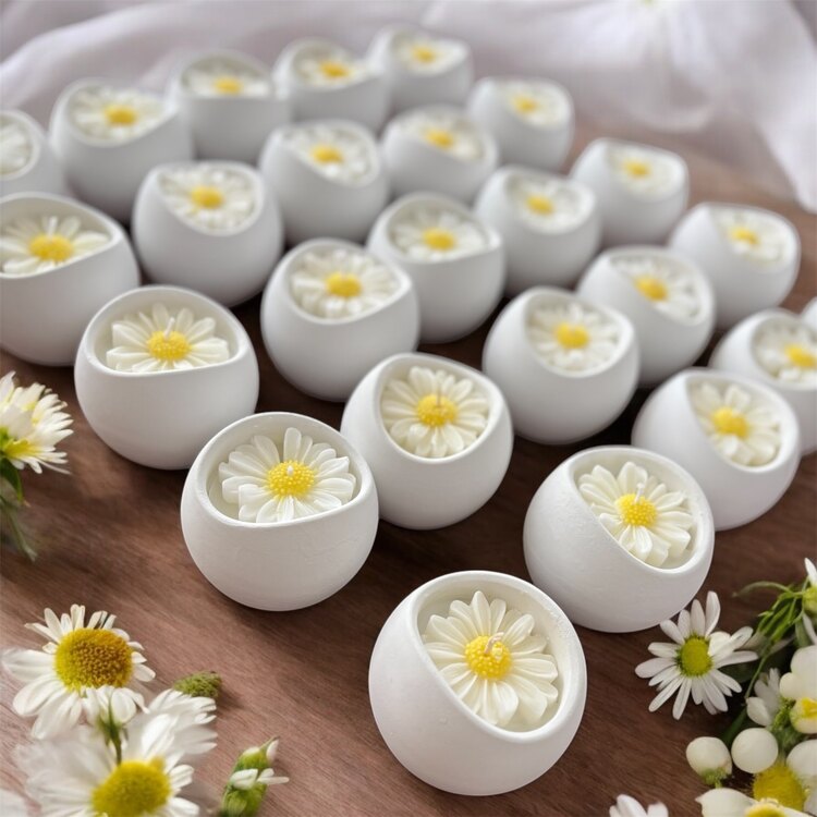 Daisy