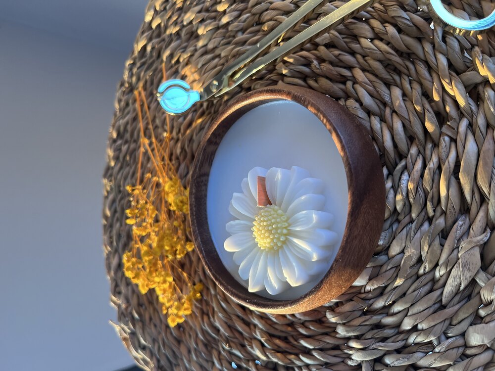 Daisy  