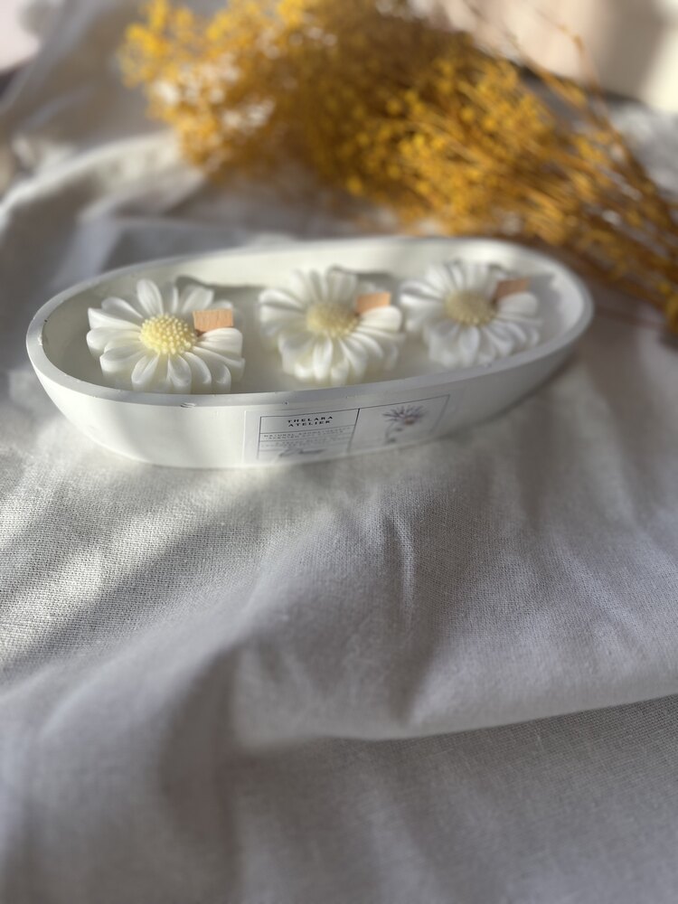Daisy candle gondol