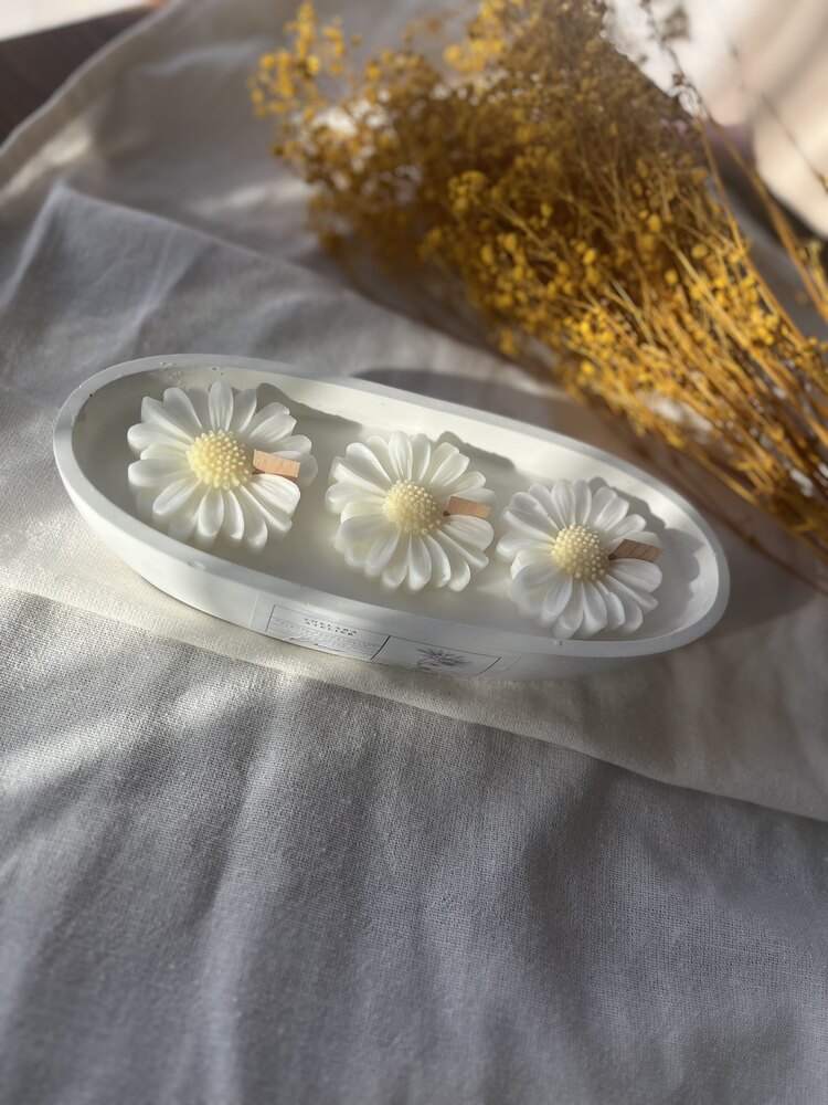 Daisy candle gondol