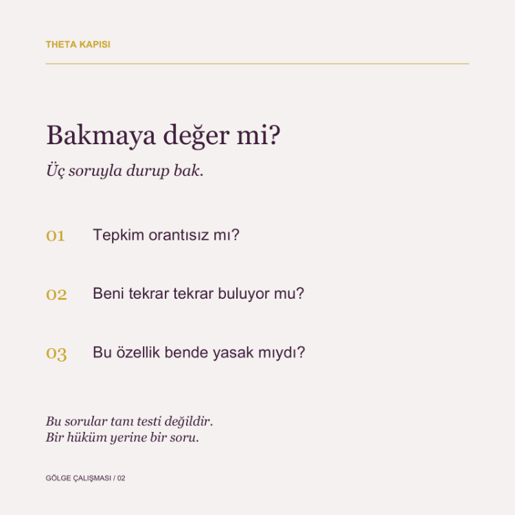 Gölge Çalışması — Reddettiğin Yan | 10 Sesli Bölüm + El Kitabı + Gölge Defteri