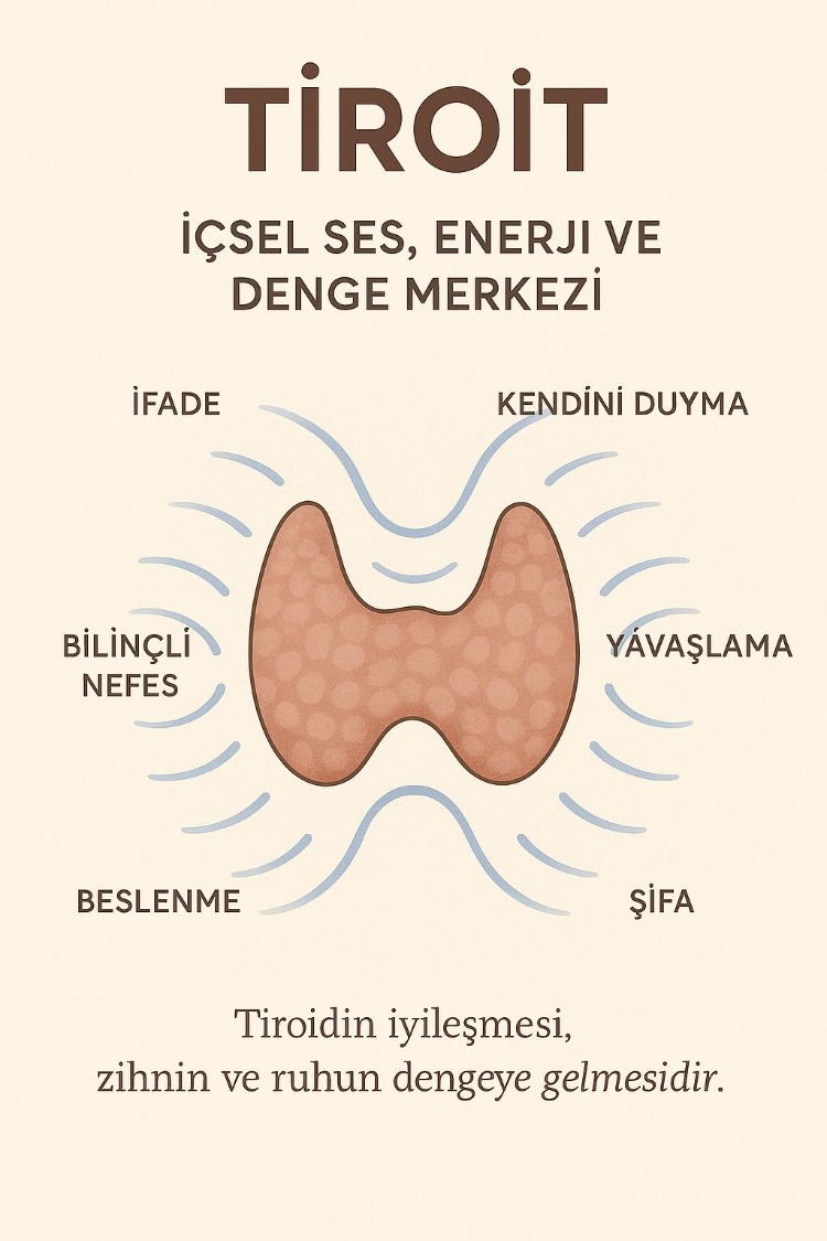 HİPERTİROİDİ VE GRAVES BESLENMESİ