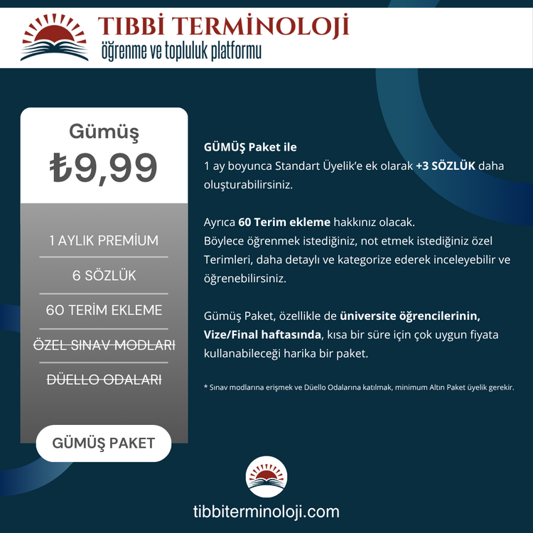 Gümüş Paket