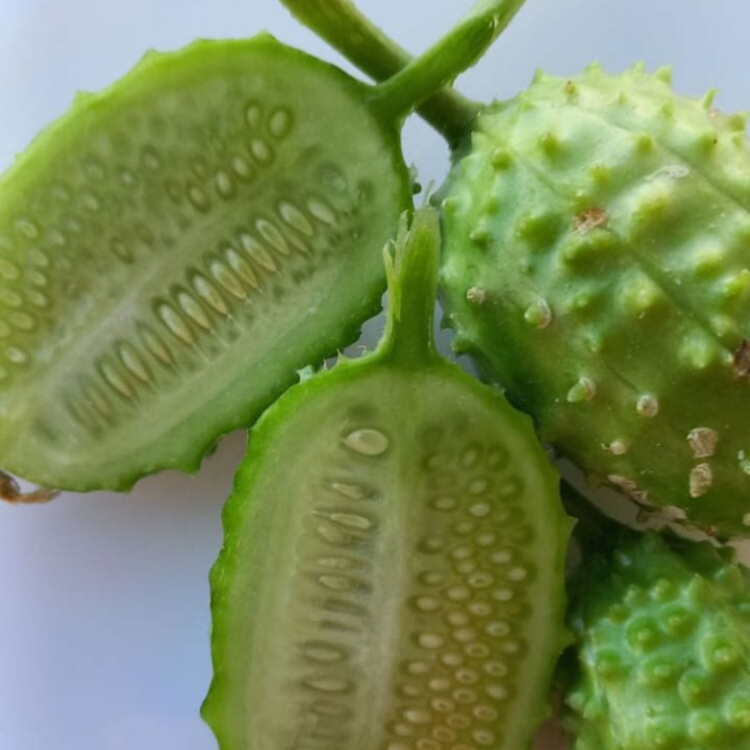 10+ Adet Geleneksel Kirpi Salatalık Tohumu