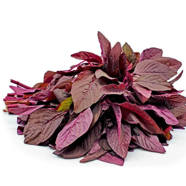 300+ Adet Kırmızı Amaranth Tohumu - Red Garneth Amaranth