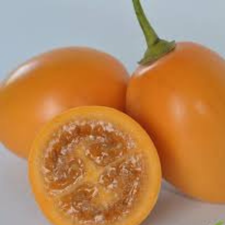 5 Adet Turuncu Tamarillo Domates Ağacı Tohumu- Sadece Tohum Dünyasında