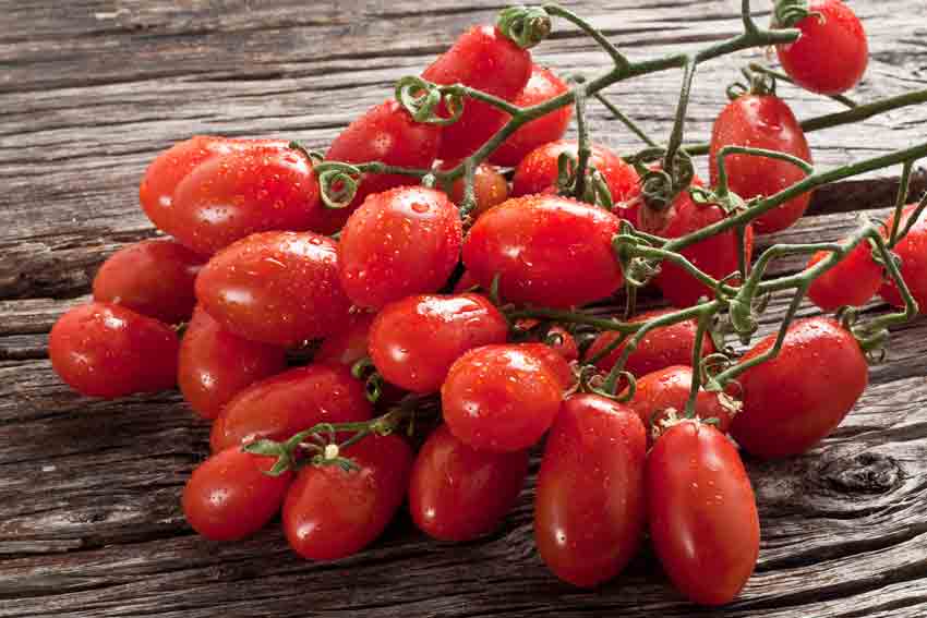 10+ Adet San Marzano Sosluk İtalyan Domatesi Tohumu- Sırık Tipi