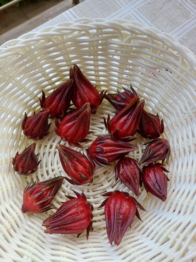Çay hibiskus