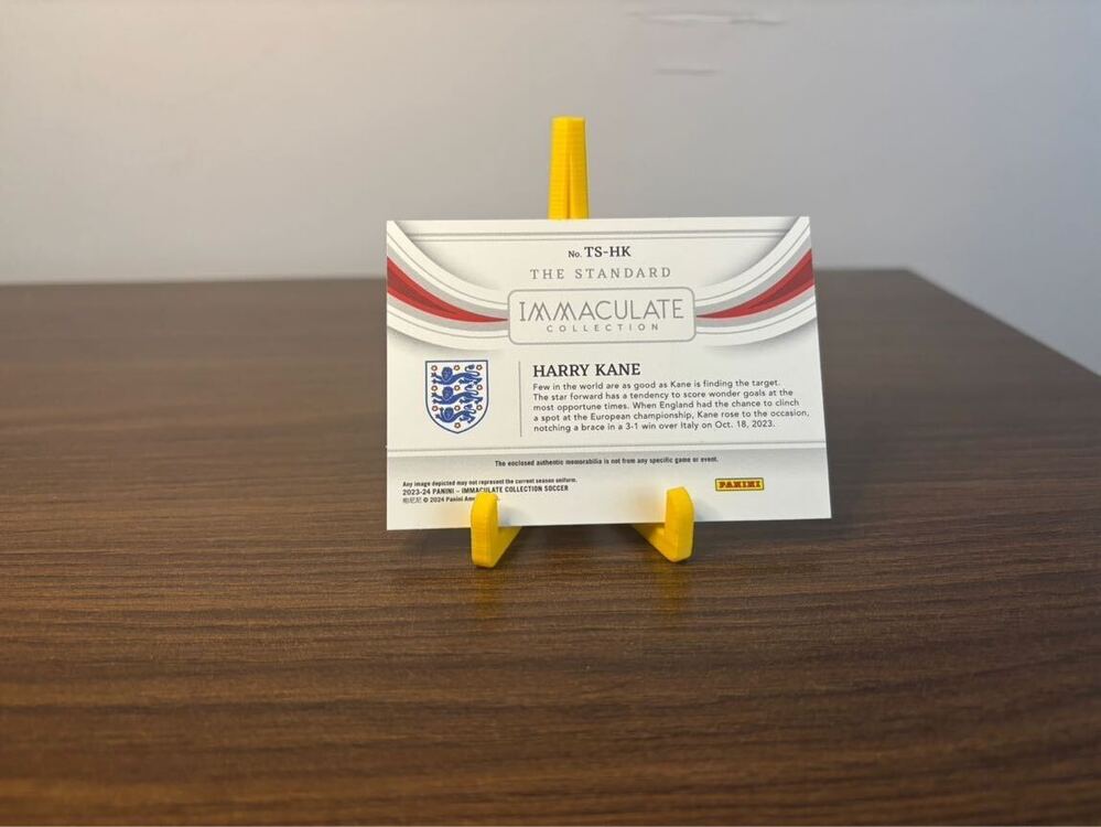 Harry Kane 23-24 Panini Immaculate | Maç Forması Patch Kartı /49