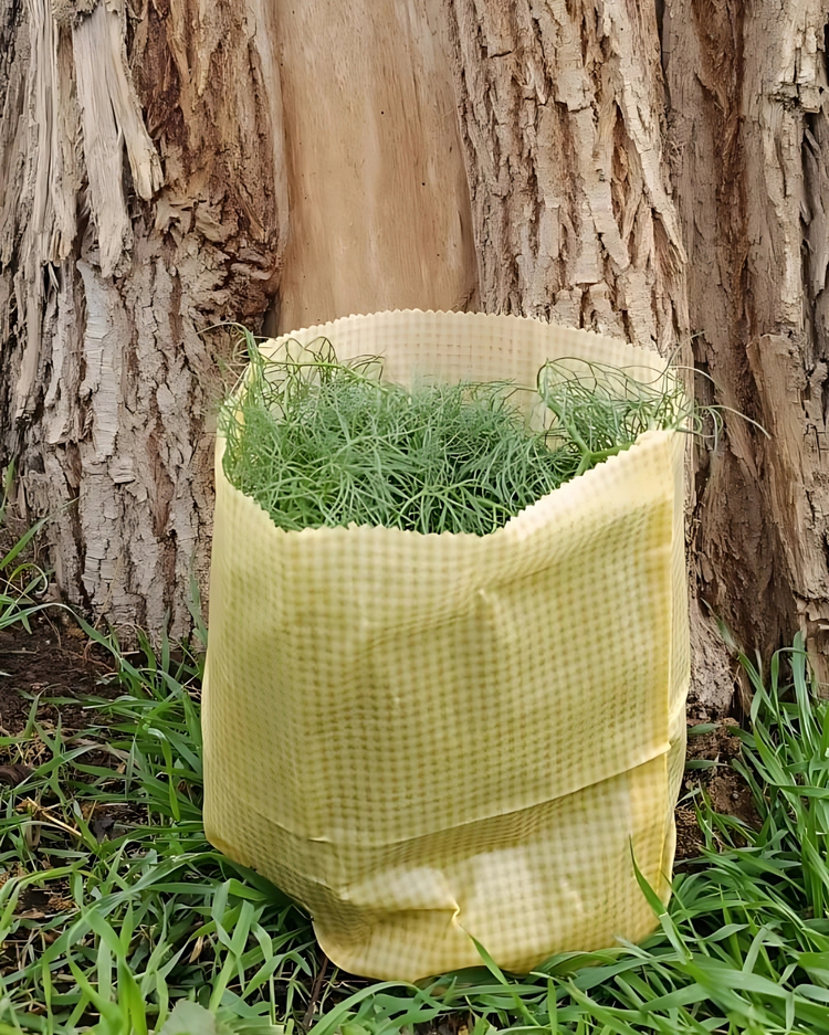 Balmumlu Gıda Saklama Kesesi – Tekli Büyük Boy (30x40 cm)