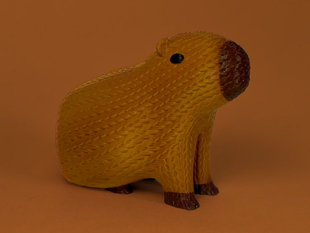 Kapibara – 3D Örgü Tasarımı