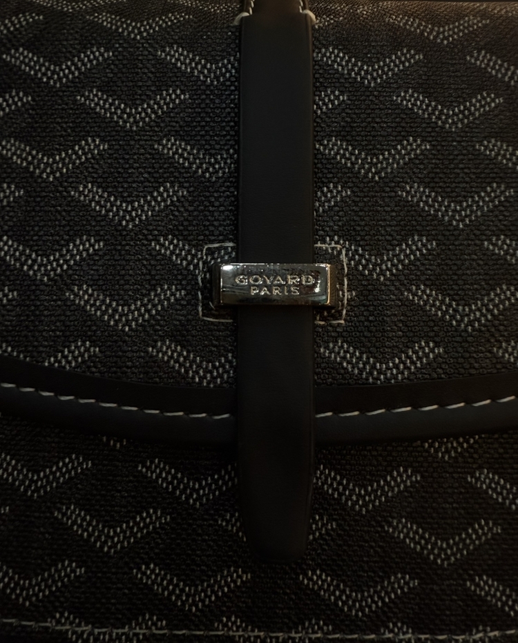 Goyard Paris Bag