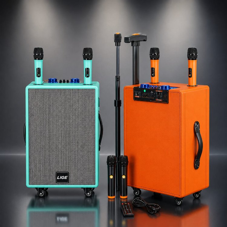ÇİFT KARAOKELİ ÇEKÇEKLİ WİRELESS SPEAKER ( LİGE 12 )