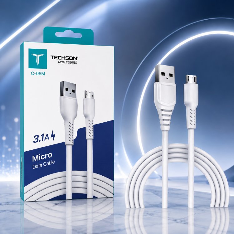 3.1A MİCRO HIZLI USB DATA CABLE ( C 06M )