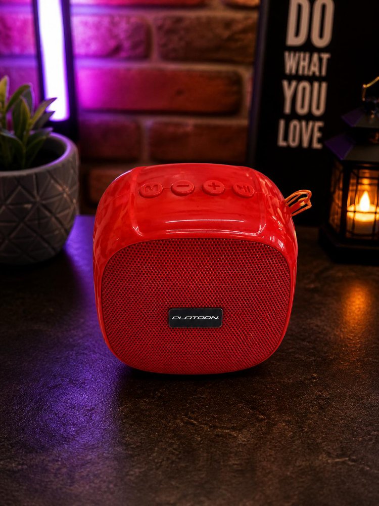 WİRELESS SPEAKER (4690)