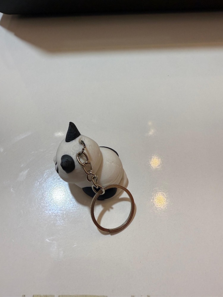 kedi anahtarlık