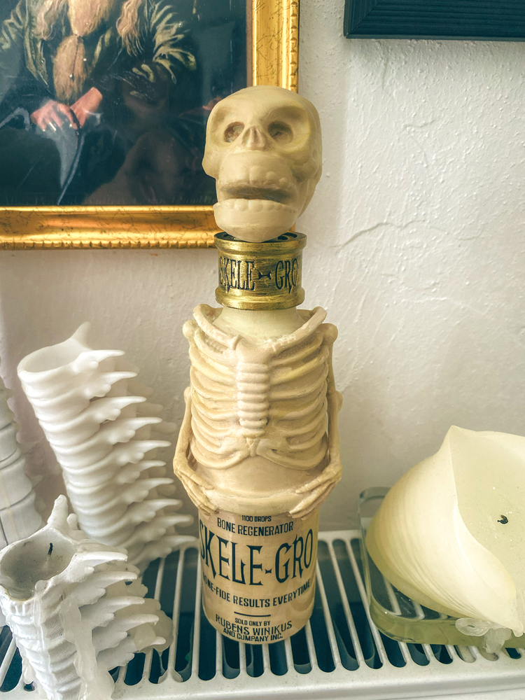Harry Potter Skele-gro