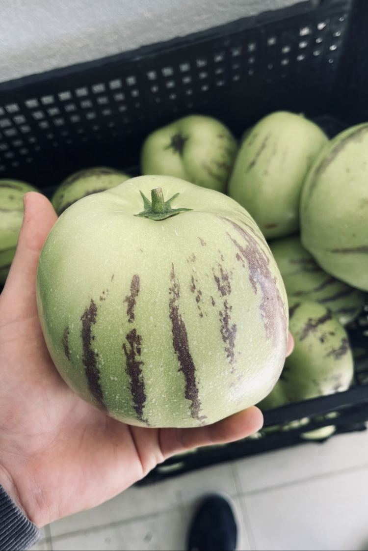 Dalından Taze Pepino Meyvesi 1 Kg