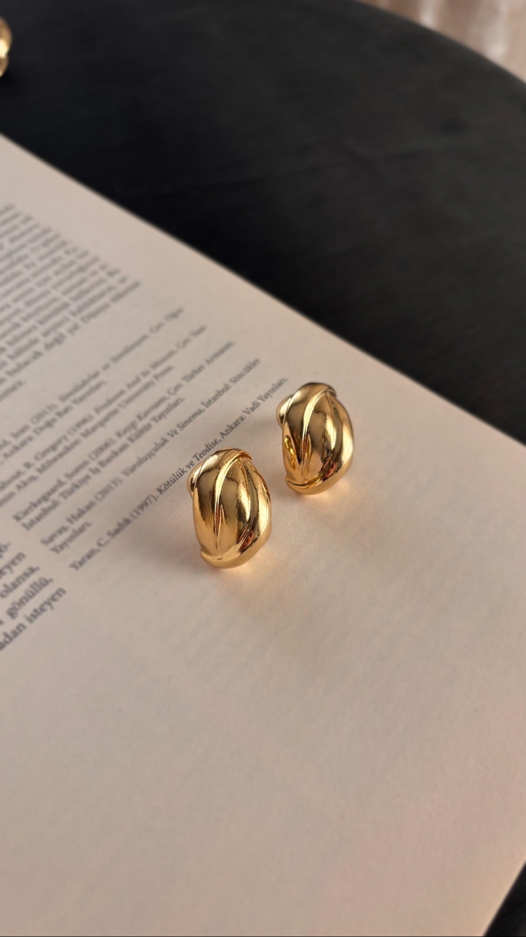 Gold burgu plaka küpe