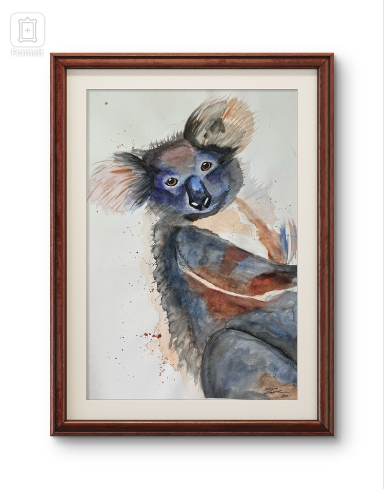 Koala ve Okaliptüs
