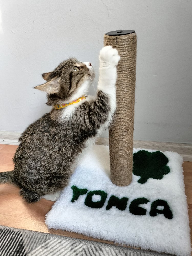 İsimli Kedi Tufting Tırmalama Tahtası
