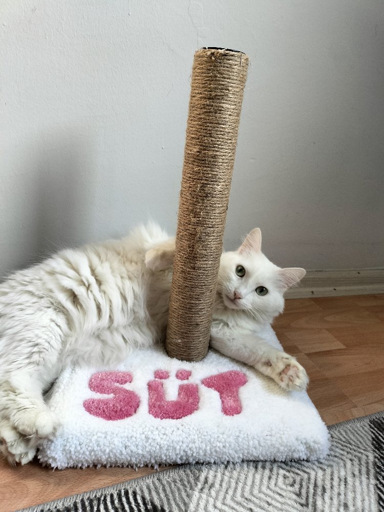 İsimli Kedi Tufting Tırmalama Tahtası
