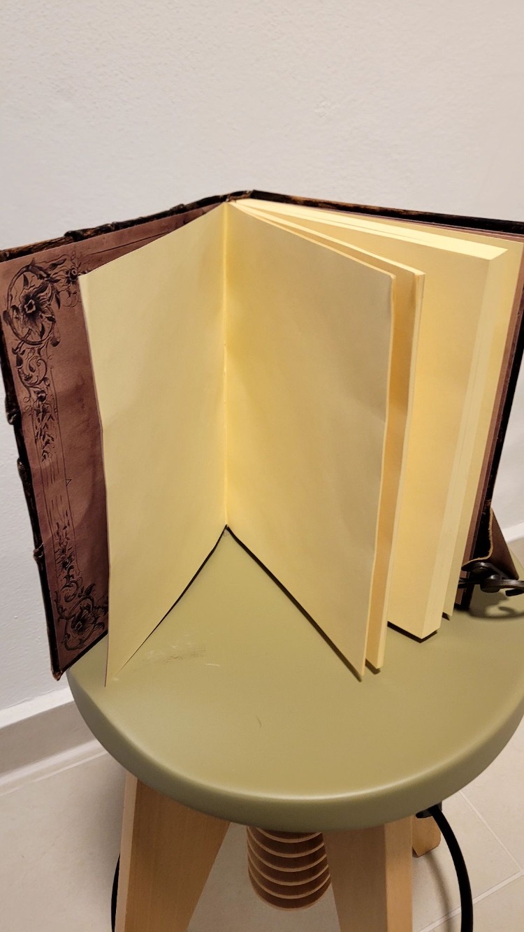3 Boyutlu Deri Defter Sessiz Çığlık Ap-002